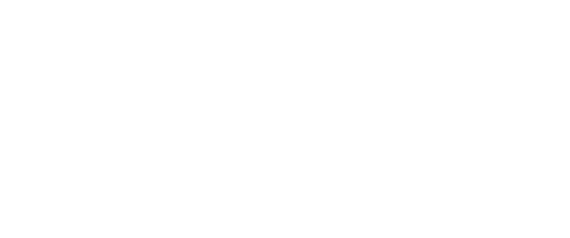 Logo HostelPoint